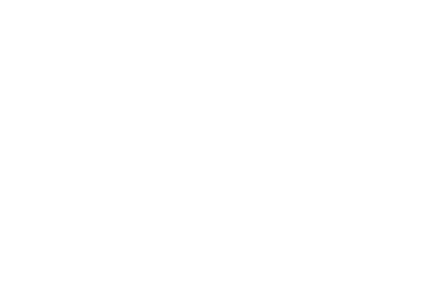 G Flow